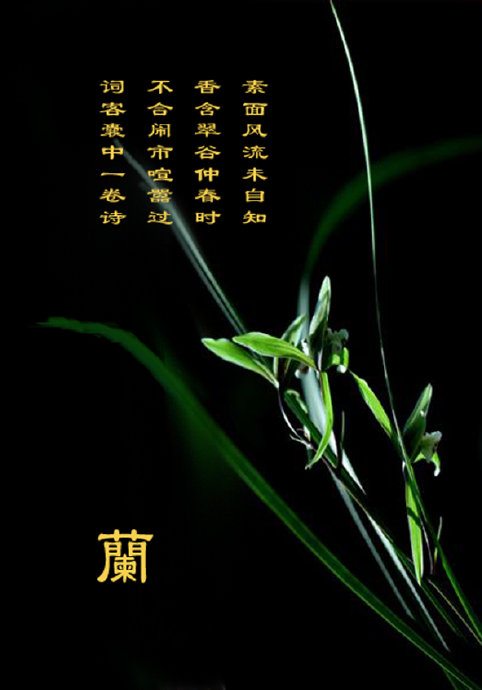 QQͼƬ20210208074737.jpg