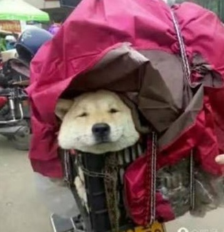 ΢��ͼƬ_20210205101057_��ͼ��.jpg