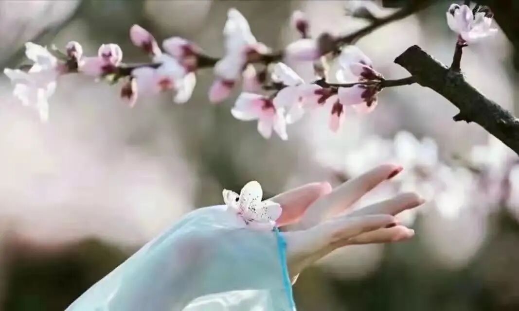 QQͼƬ20211125195132.jpg