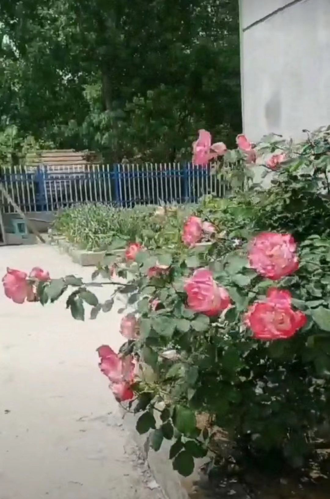 ΢��ͼƬ_20220907204943.jpg