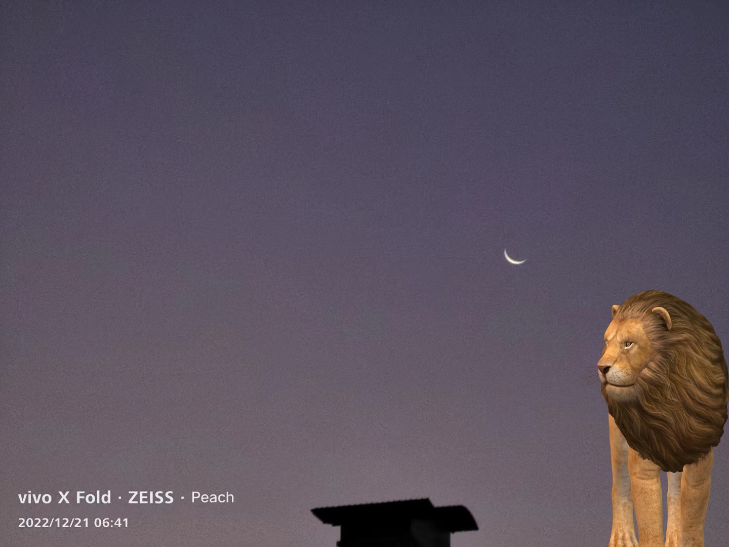 ���ɡ�����2022-Lion&amp;King΢��ͼƬ_20221223003517.jpg