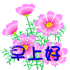 ���Ϻ�.gif