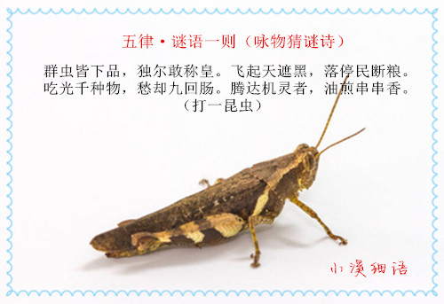 02553fc23955b50a77e1f4ba1fcd9b2b_����.jpg