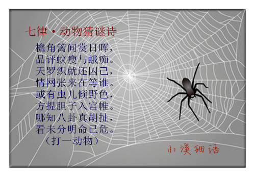 64ae00991890309785a8df213aa3b0f2_����.jpg