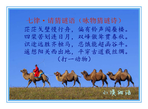 60ccfbd299ea3fe2606e7176d75347f7_����.jpg