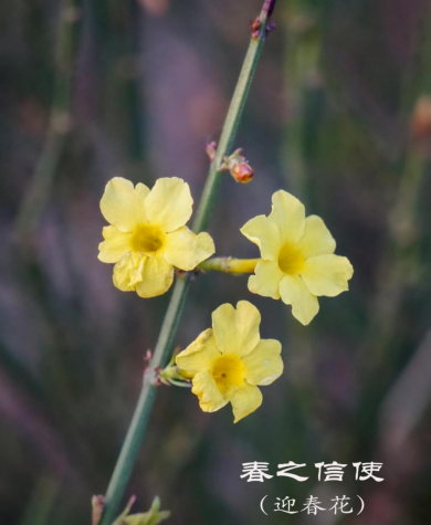 a9a92062fd9f44b5de073d900a8b298.png